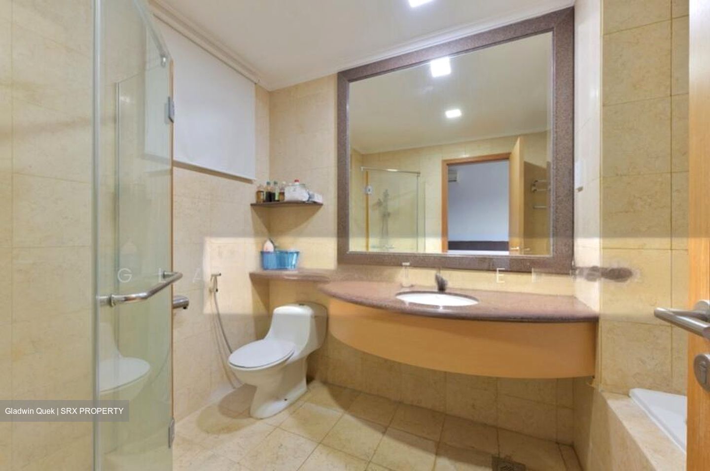 Haig Court (D15), Condominium #513820111